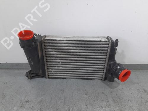 Used Intercooler NISSAN QASHQAI II (J11, J11_) 1.2 DIG-T (115 hp) 29248226