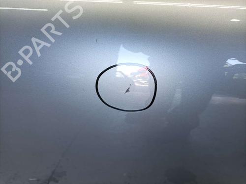 Left front door MINI MINI (R50, R53) One | BP16096294C2 
