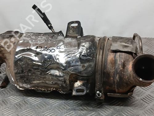 Roetfilter PEUGEOT PARTNER Tepee 1.6 HDi (114 hp) 30906389