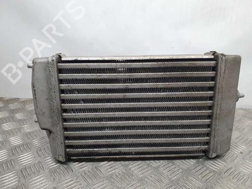 Intercooler CHRYSLER VOYAGER IV (RG, RS)  | BP16442512M30 