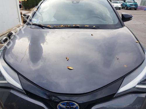hood-toyota-c-hr-_x1_-2016-11217135 main image