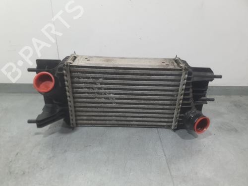 Used Intercooler Intercooler NISSAN JUKE (F15) 1.5 dCi (110 hp) 40012616 40012616