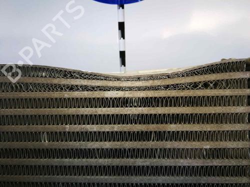 Intercooler NISSAN CABSTAR E (TL_, VL_)  | BP12564892M30 
