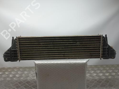 Intercooler BMW X5 (E53)  | BP10037801M30 
