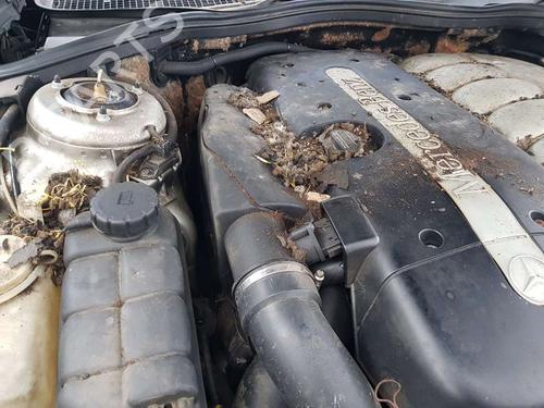 Used Air filter box MERCEDES-BENZ S-CLASS (W220) [1998-2005]  16921772