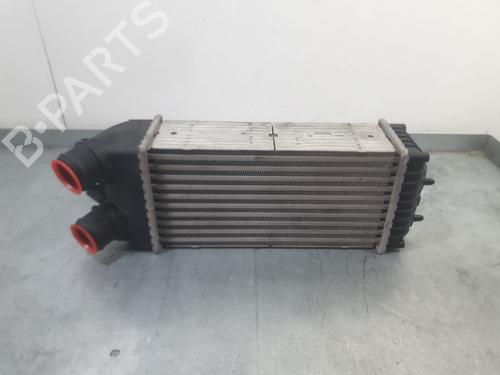 Intercooler Intercooler CITROËN XSARA PICASSO (N68) 1.6 HDi (109 hp) 37514520 37514520