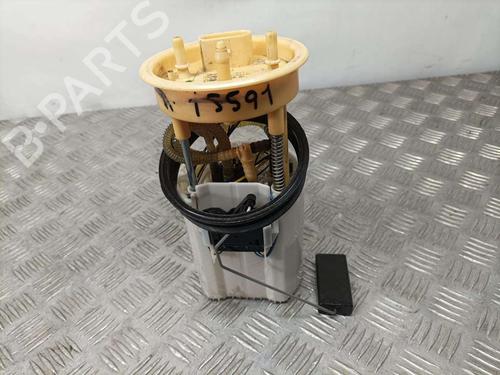 Fuel pump SEAT IBIZA IV (6J5, 6P1)  | BP18143518M76 