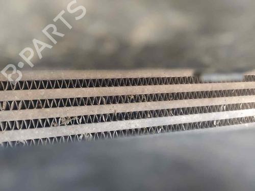 Used Intercooler RENAULT MEGANE II Estate (KM0/1_) [2003-2012]  25156560