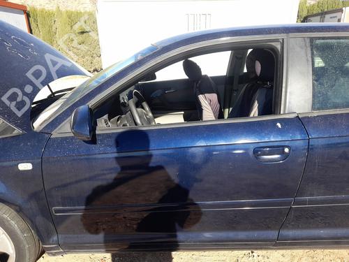 Used Left front door AUDI A3 (8P1) 2.0 TDI 16V (140 hp) 30683885
