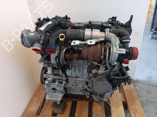 Engine FORD FIESTA VI (CB1, CCN)  | BP7629920M1 