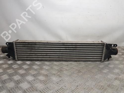 Used Intercooler FIAT DOBLO Bus (263_) 1.6 D Multijet (263AXD1B, 263AXX1B) (105 hp) 30058190