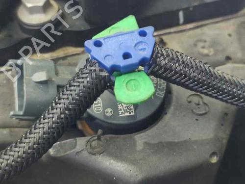 Engine FORD FIESTA VI (CB1, CCN)  | BP13752786M1 