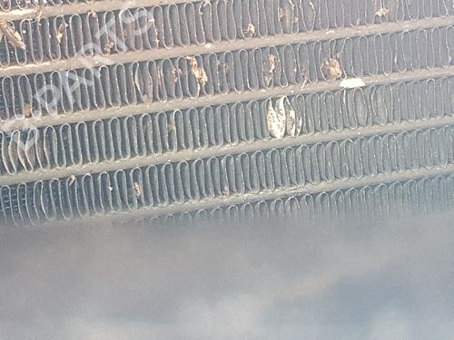 Used AC radiator AC radiator HONDA ACCORD VII (CL, CN) 2.0 (CL7) (155 hp) 33469258 33469258