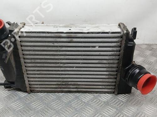 Intercooler RENAULT MEGANE IV Hatchback (B9A/M/N_) [2015-2025]  19159983