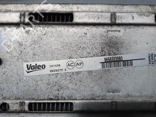  - Image 4