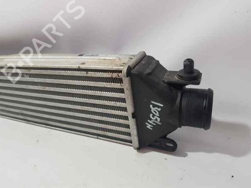 Intercooler FIAT DOBLO Cargo (263_)  | BP7263243M30 