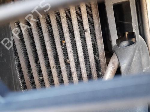 Used Intercooler RENAULT KANGOO / GRAND KANGOO II (KW0/1_) 1.5 dCi 75 (KW07, KW10, KW04) (75 hp) 27721266