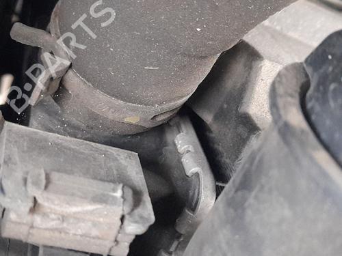 Used Water radiator DACIA DOKKER Box Body/MPV 1.5 dCi (FEAJ) (90 hp) 31885552