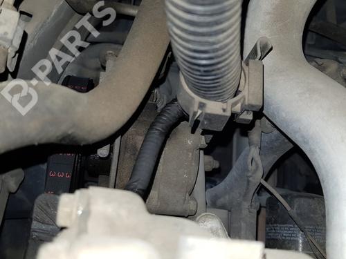 Used Steering pump NISSAN ALMERA TINO (V10) [1998-2006]  11840398