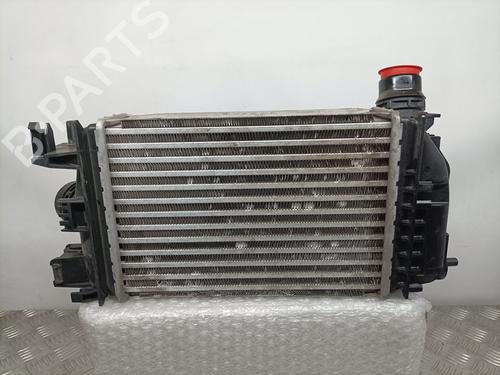 Intercooler NISSAN MICRA V (K14) 1.0 DIG-T 117 | BP10956264M30 