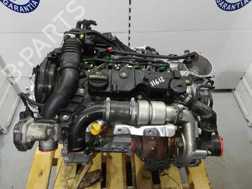 Engine FORD FIESTA VI (CB1, CCN)  | BP2499692M1 