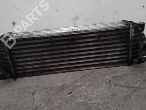 Intercooler FORD TOURNEO CONNECT  | BP606017M30 