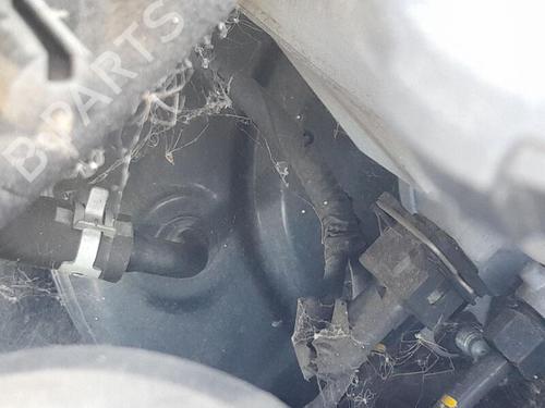 Used Servo brake KIA RIO IV (YB, SC, FB) 1.0 T-GDI 100 (101 hp) 29751078
