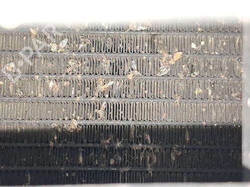 ac-radiator-audi-a8-d3-4e2-4e8-2002-2003-2004-2005-2006-2007-2008-2009-2010-39564119 main image