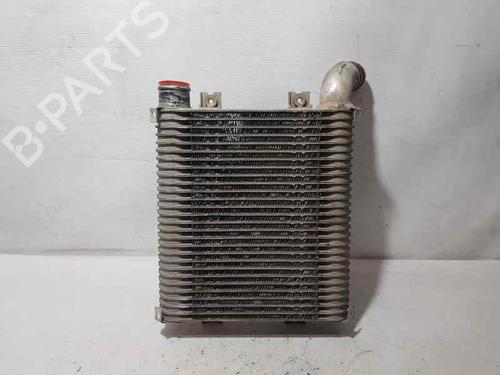 Intercooler HYUNDAI SANTA FÉ I (SM)  | BP3720787M30 