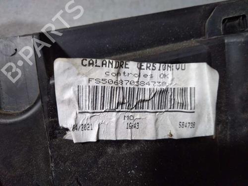 Grille RENAULT KANGOO / GRAND KANGOO II (KW0/1_)  | BP20238847C40 