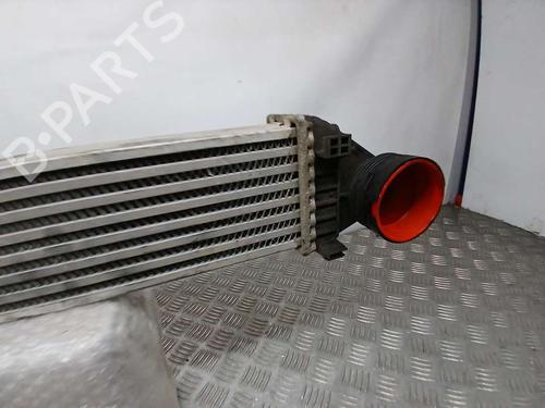 Intercooler MERCEDES-BENZ B-CLASS Sports Tourer (W245) B 180 CDI (245.207) | BP8909212M30