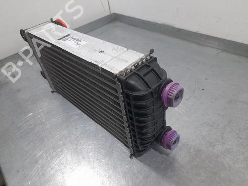 Intercooler OPEL CORSA F (P2JO) | BP22356014M30