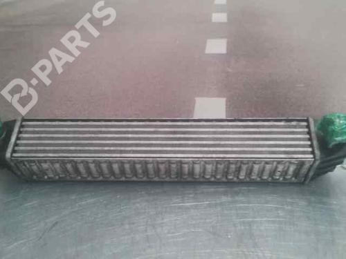 Intercooler SEAT ALHAMBRA (7V8, 7V9)  | BP1925666M30 