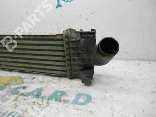 Intercooler FORD FOCUS C-MAX (DM2)  | BP123952M30 