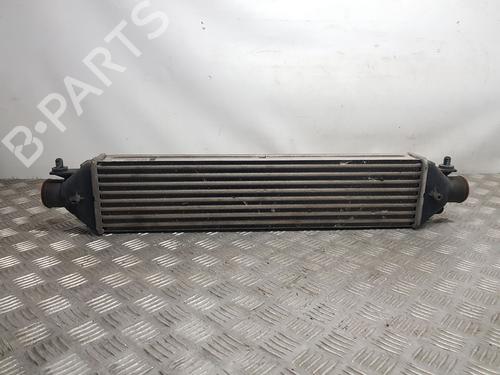 Intercooler FIAT DOBLO Bus (263_) 1.6 D Multijet (263AXD1B, 263AXX1B) | BP30058190M30
