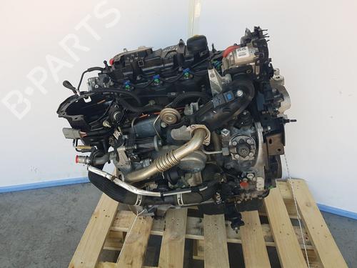 Engine FORD FOCUS III 1.5 TDCi | BP32504745M1