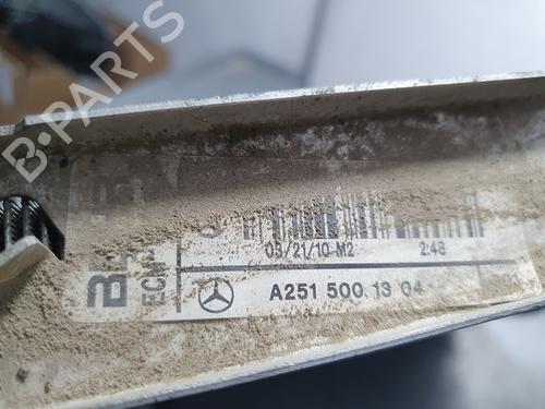 Køler MERCEDES-BENZ M-CLASS (W164)  | BP15683449M31 