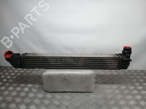 Used Intercooler RENAULT MEGANE III Hatchback (BZ0/1_, B3_) [2008-2025]  25442990
