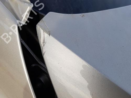 Used Hood Hood VW POLO VI (AW1, BZ1, AE1) 1.0 TSI (95 hp) 33660701 33660701