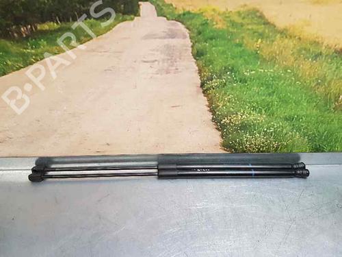 Used Tailgate lift support OPEL CORSA D (S07) [2006-2015]  14011208
