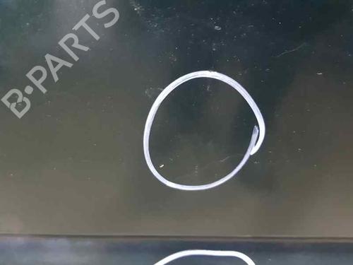 Left rear door LAND ROVER RANGE ROVER II (P38A)  | BP673040C4 