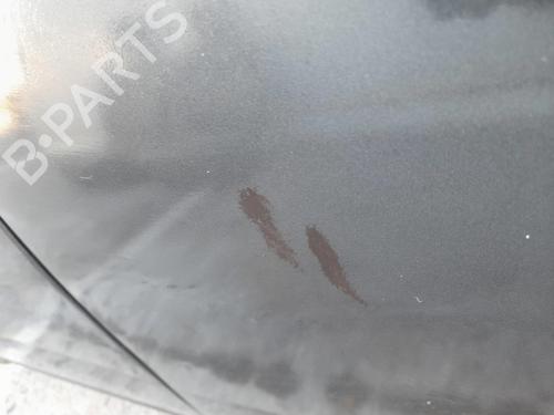 Right front door ROVER 2000-3500 (P6) 3500 | BP12566084C3 