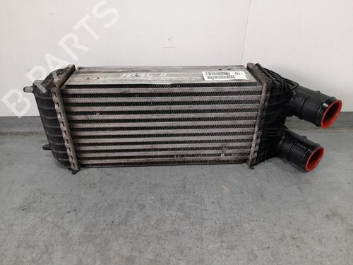 Intercooler CITROËN C3 AIRCROSS II (2R_, 2C_) 1.6 BlueHDi 100 (2CBHYB) | BP25141436M30