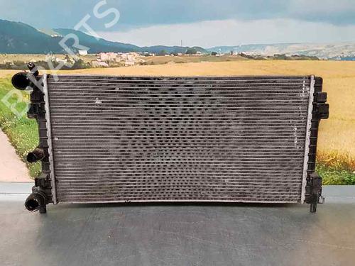 Used Water radiator SEAT IBIZA IV (6J5, 6P1) [2008-2017]  1505361