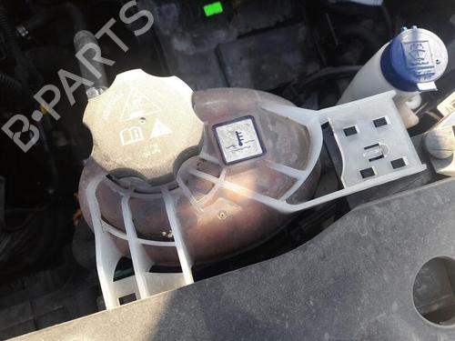 Used Expansion tank FIAT TIPO Hatchback (356_, 357_) 1.4 (356HXA1B, 357) (95 hp) 29029629
