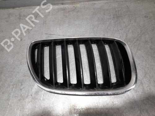 Grill BMW X5 (E53) [2000-2006]  10037843