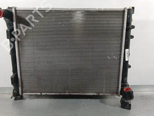 water-radiator-fiat-500-312_-2007-38174413 main image