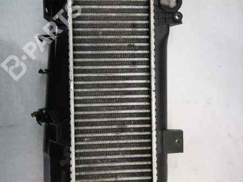 Used Intercooler PEUGEOT 405 I (15B) [1987-1993]  861979