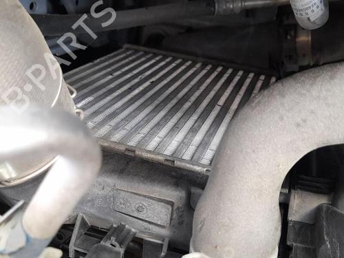 Intercooler NISSAN QASHQAI II (J11, J11_) 1.2 DIG-T | BP29248226M30 
