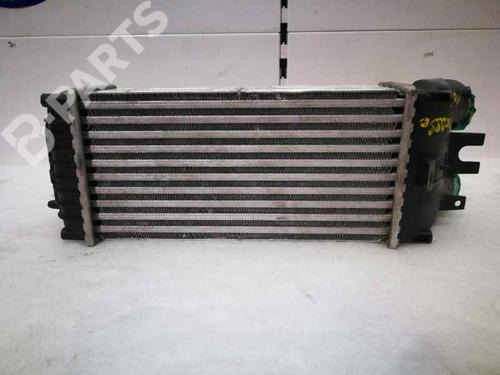Intercooler CITROËN XSARA PICASSO (N68)  | BP1178734M30 